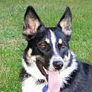 Jones was adopted in February, 2006